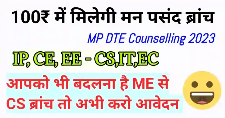 What is Internal Branch Change in DTE MP