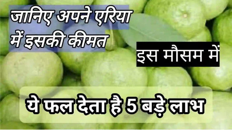 Guava fruit ke fayde in Hindi