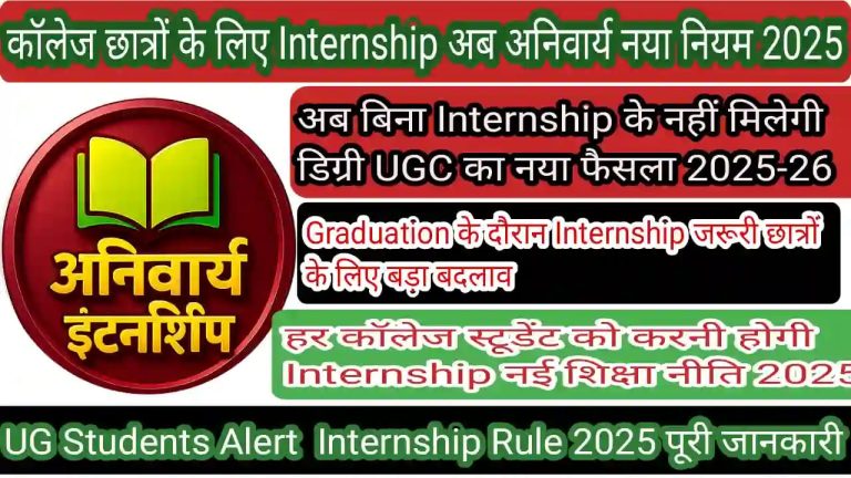 Higher Education Internship Scheme